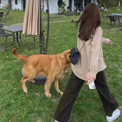 老公出差